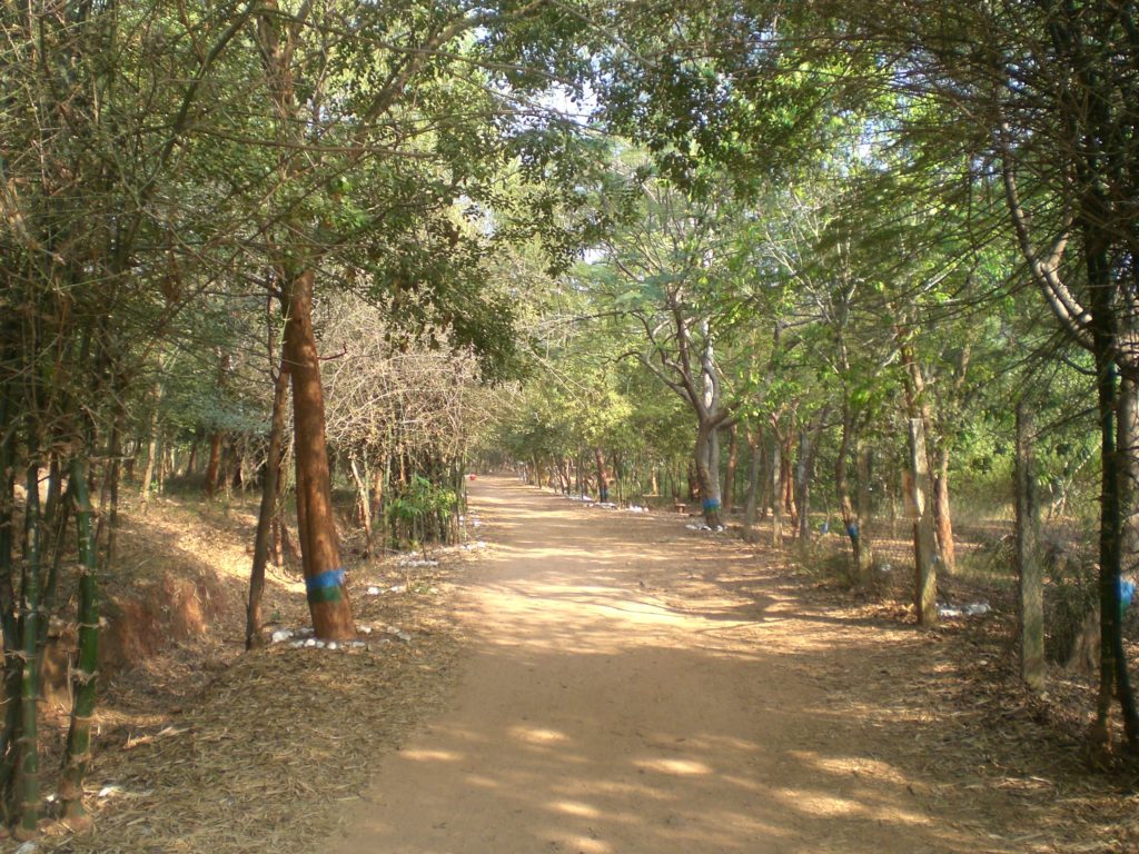 Pathway Kambalakonda